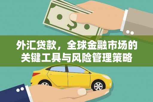 瑞昌外汇贷款，全球金融市场的关键工具与风险管理策略
