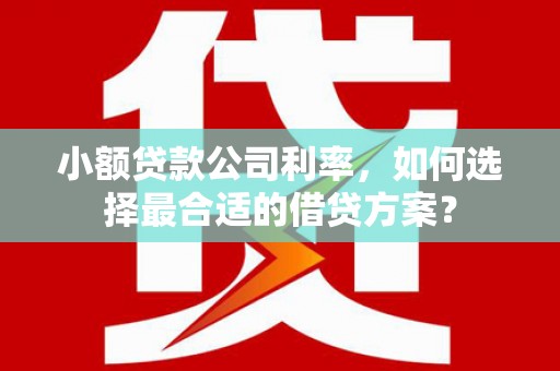 贵德小额贷款公司利率，如何选择最合适的借贷方案？
