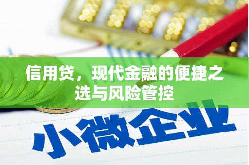 朴子信用贷，现代金融的便捷之选与风险管控