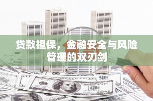 信宜贷款担保，金融安全与风险管理的双刃剑