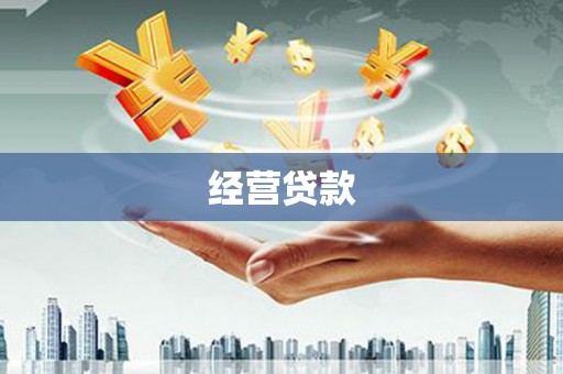 康县经营贷款