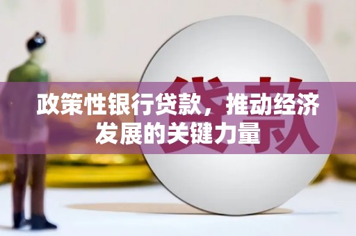 美浓政策性银行贷款，推动经济发展的关键力量