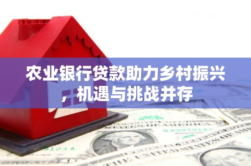 吉隆农业银行贷款助力乡村振兴，机遇与挑战并存