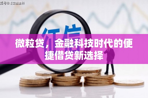包河微粒贷，金融科技时代的便捷借贷新选择