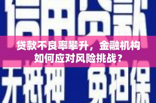 杂多贷款不良率攀升，金融机构如何应对风险挑战？