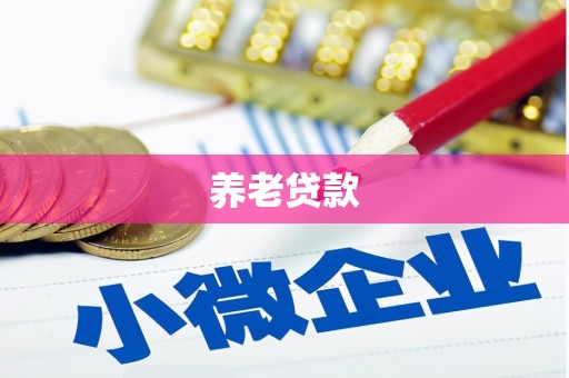 登封养老贷款