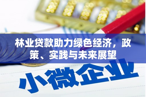 旬阳林业贷款助力绿色经济，政策、实践与未来展望