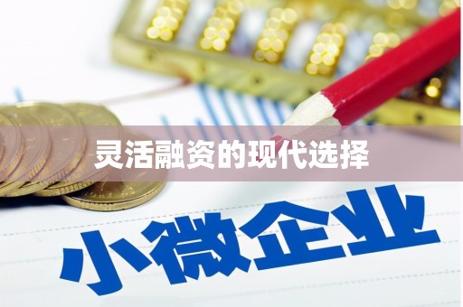 巴青灵活融资的现代选择