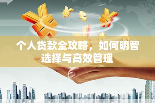 临夏个人贷款全攻略，如何明智选择与高效管理