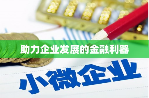 泸西助力企业发展的金融利器