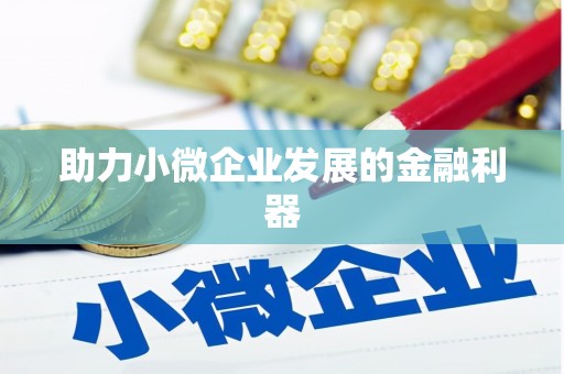云龙助力小微企业发展的金融利器