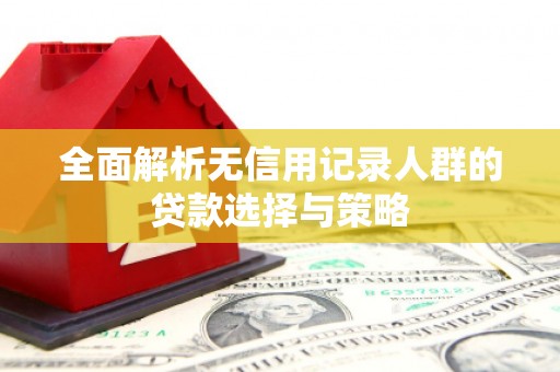 丰滨全面解析无信用记录人群的贷款选择与策略