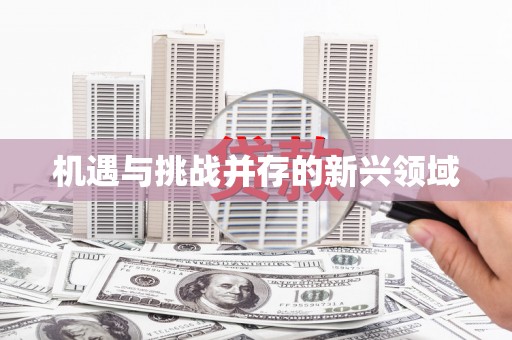 竹南机遇与挑战并存的新兴领域