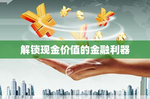 望安解锁现金价值的金融利器