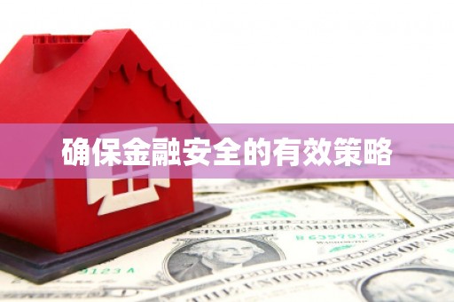 三沙确保金融安全的有效策略