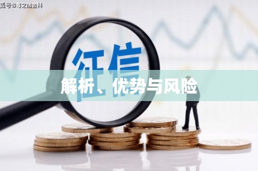 八里解析、优势与风险