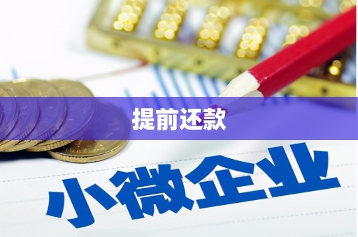 墨玉提前还款