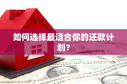 乐亭如何选择最适合你的还款计划？