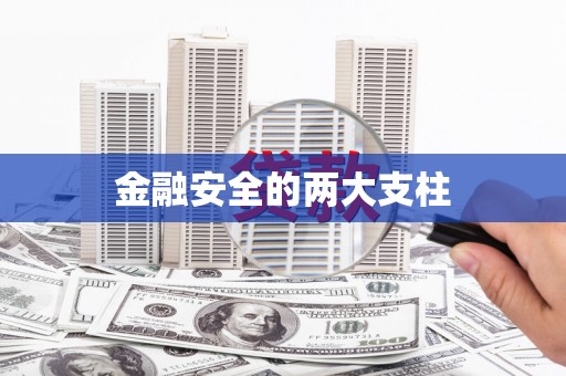 张店金融安全的两大支柱