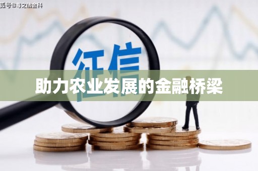 渭源助力农业发展的金融桥梁