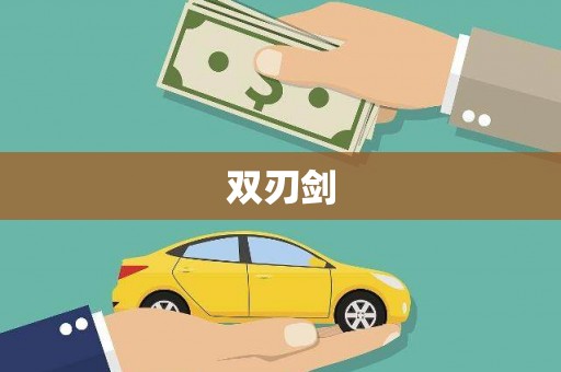 任城双刃剑