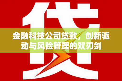 大宁金融科技公司贷款，创新驱动与风险管理的双刃剑